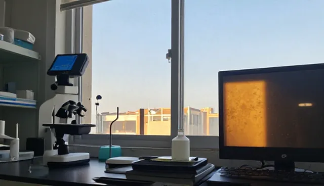 短视频拍摄误区分析:数据分析的重要性